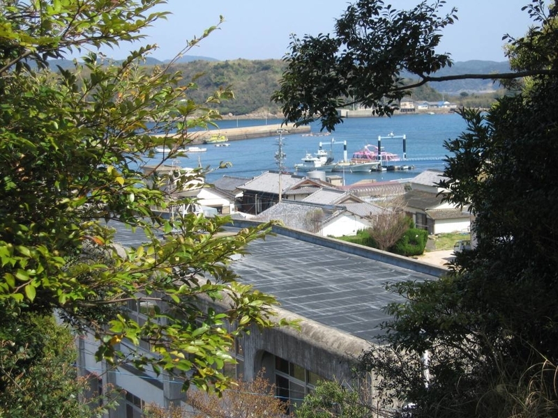 イメージ 6