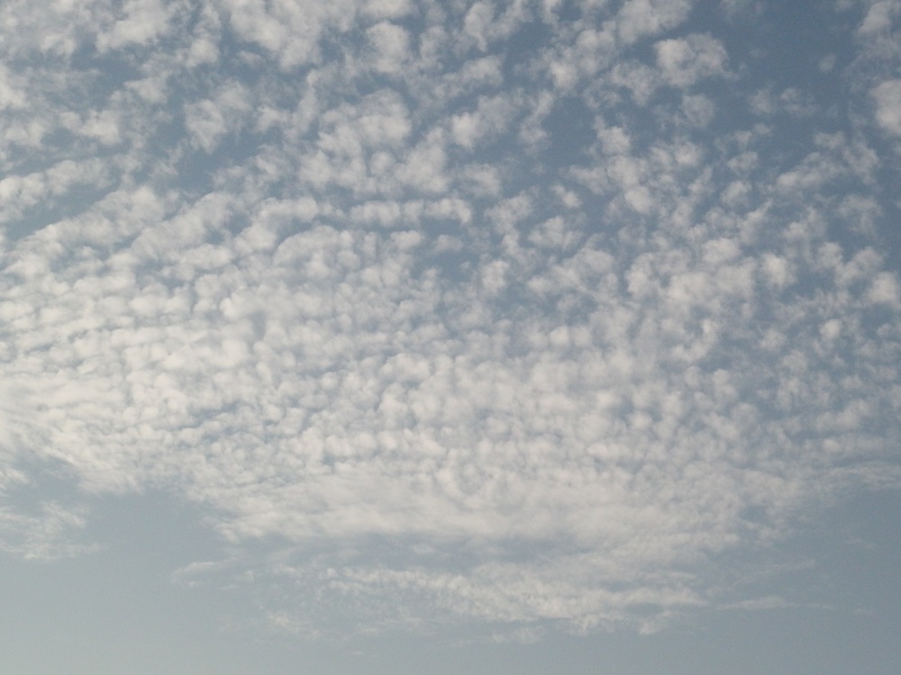 f:id:gotoshikari:20210926095617j:plain