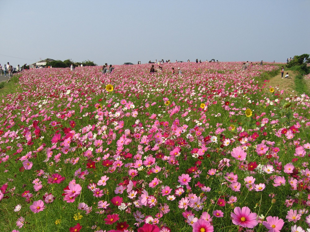 f:id:gotoshikari:20211007091209j:plain