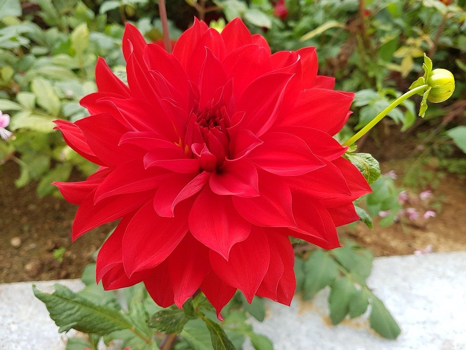 f:id:gotoshikari:20211012095450j:plain