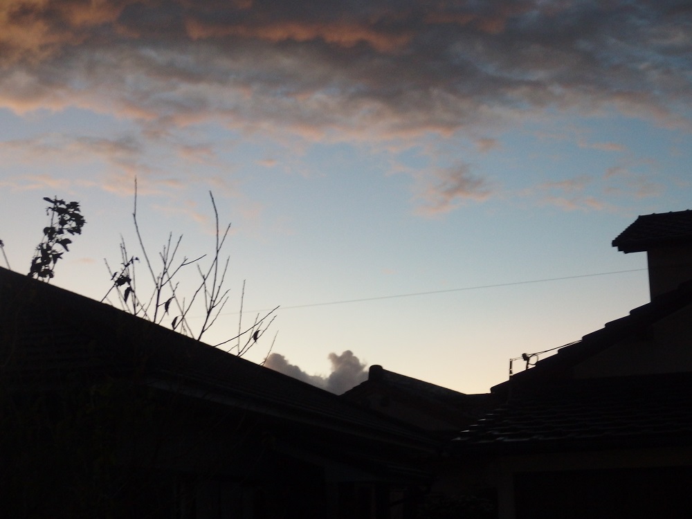 f:id:gotoshikari:20211023084508j:plain