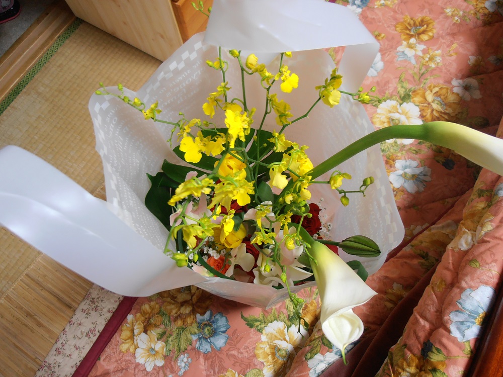f:id:gotoshikari:20211112075800j:plain