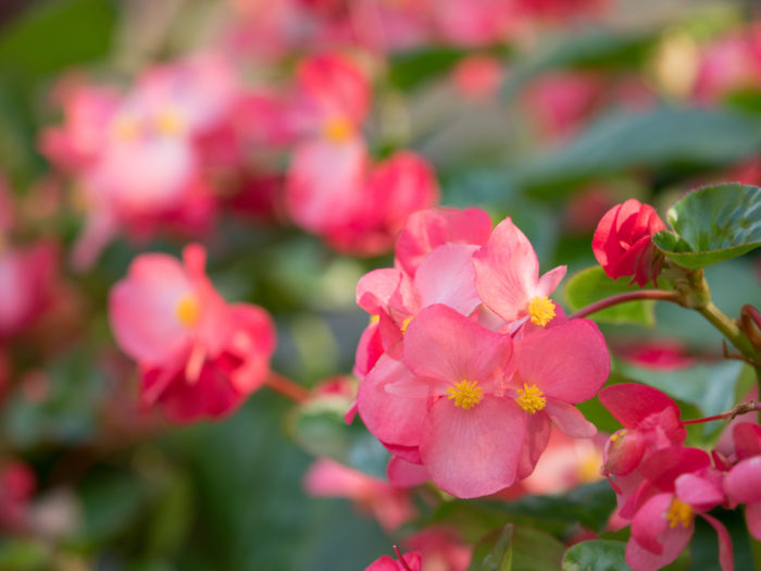 f:id:gotoshikari:20211112084938j:plain
