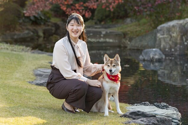 f:id:gotoshikari:20211117073954j:plain