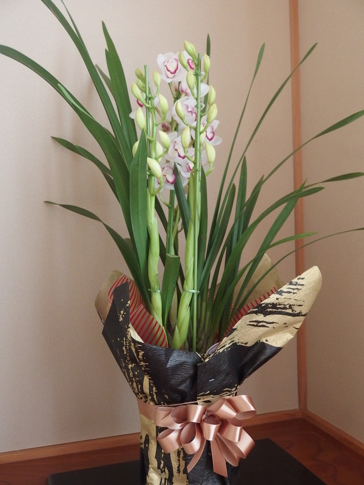 f:id:gotoshikari:20211229101323j:plain