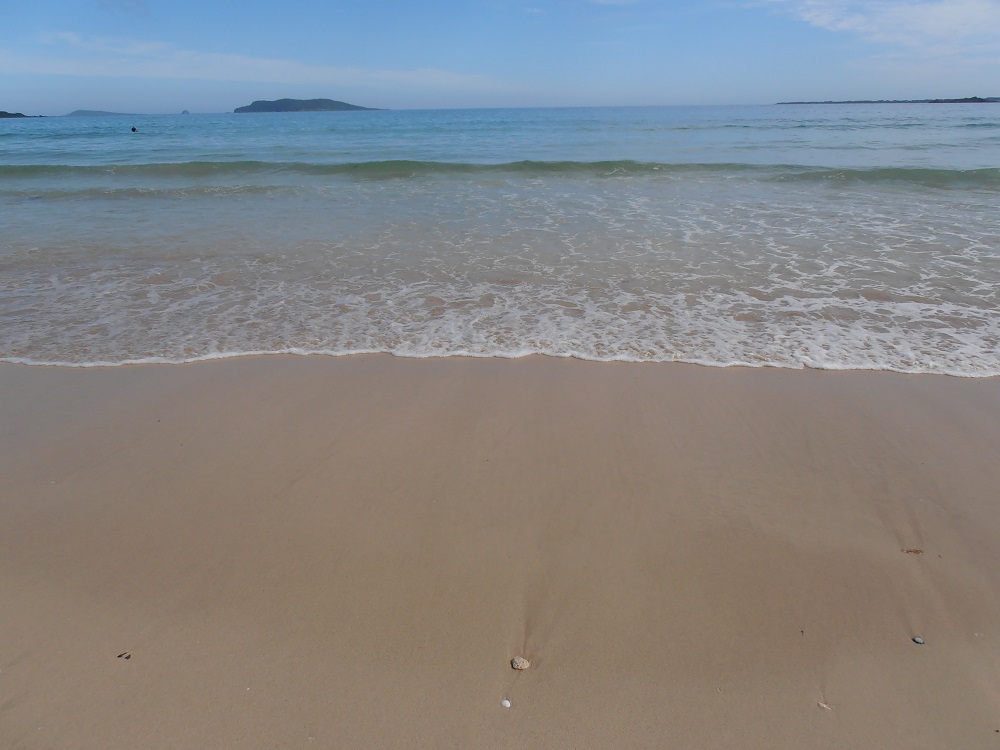 f:id:gotoshikari:20211229135100j:plain