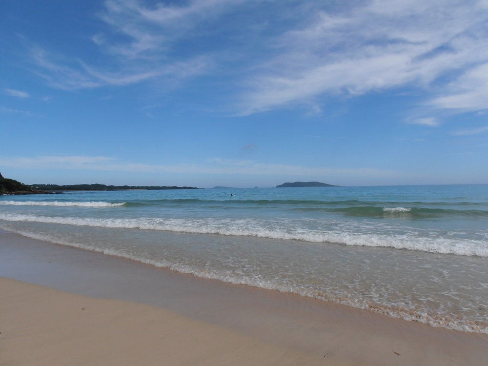 f:id:gotoshikari:20211229143108j:plain
