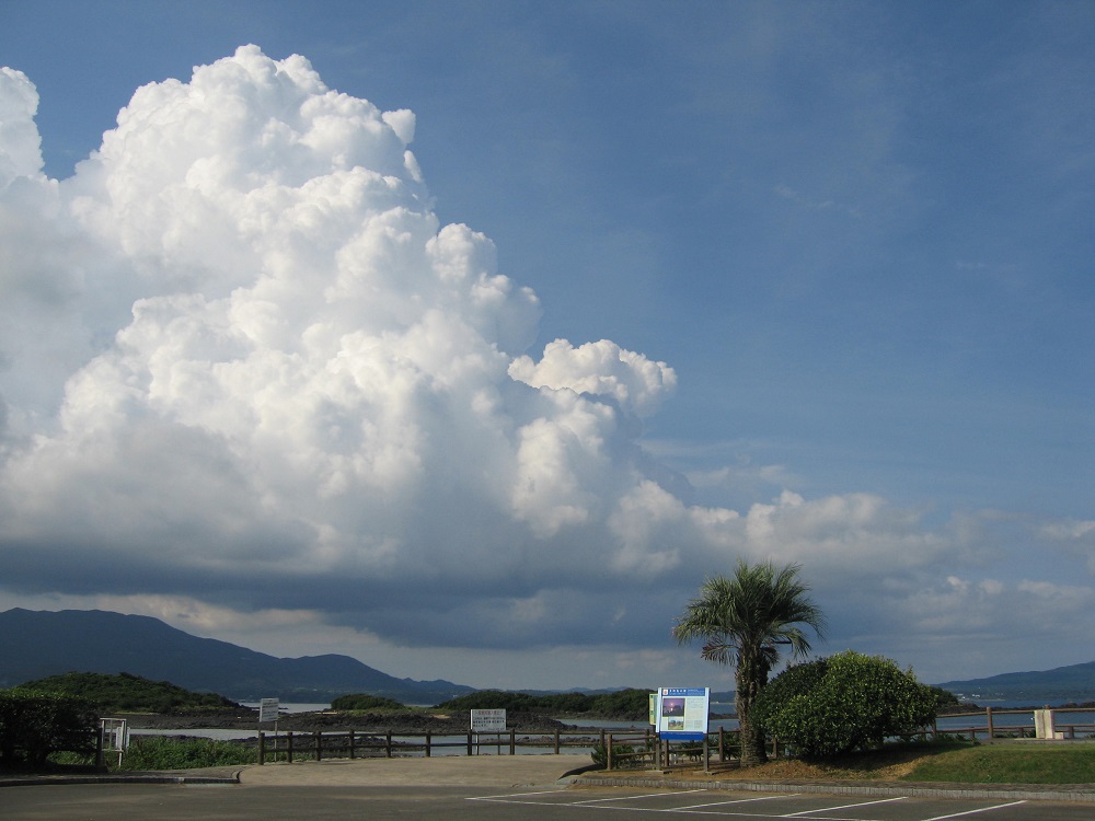 f:id:gotoshikari:20211229143145j:plain