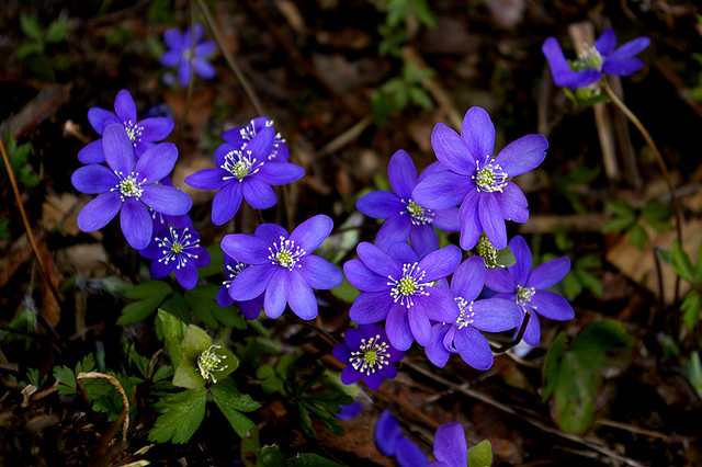 f:id:gotoshikari:20220110131602j:plain