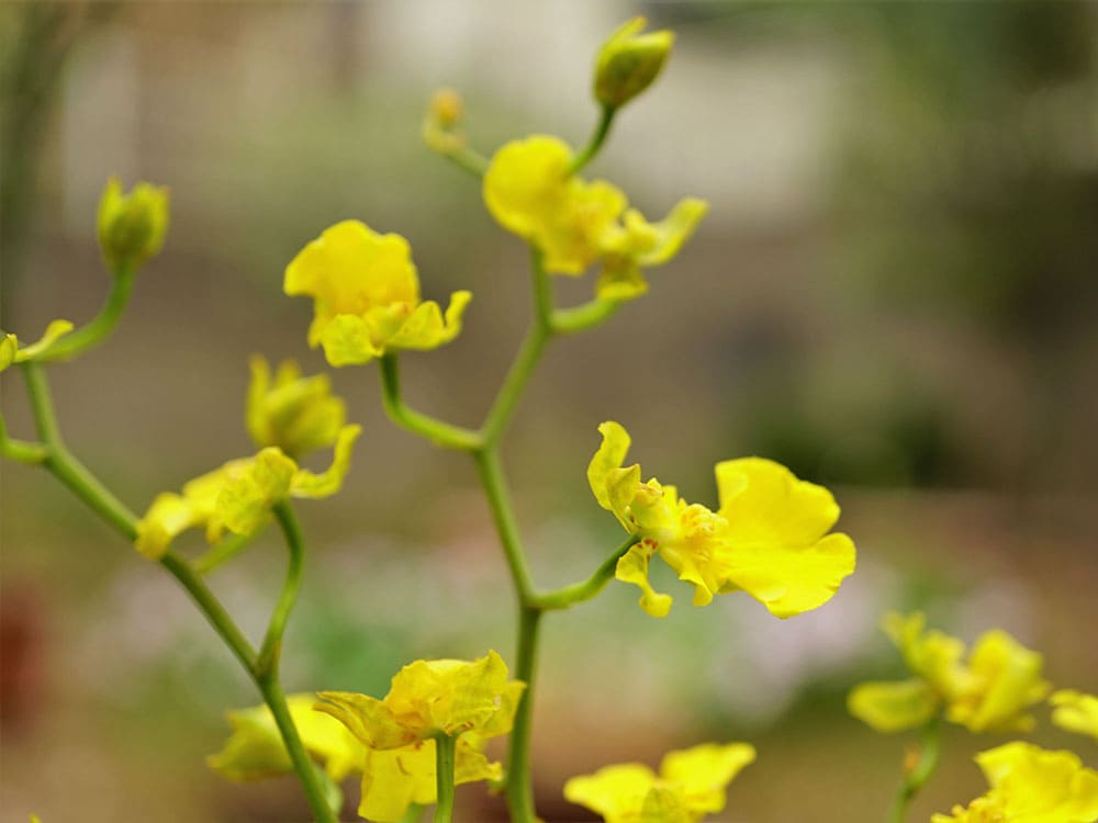 f:id:gotoshikari:20220114135403j:plain