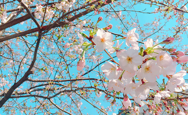 f:id:gotoshikari:20220208093900j:plain