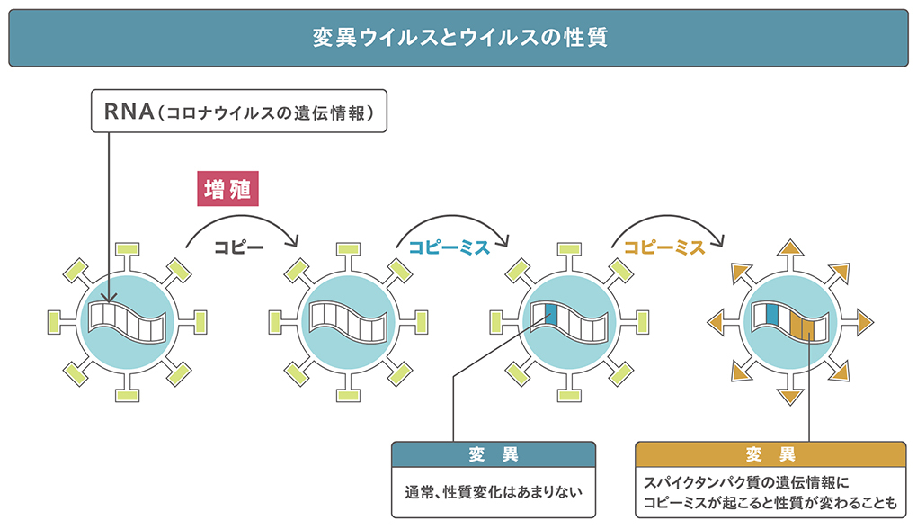 f:id:gotoshikari:20220208094036j:plain