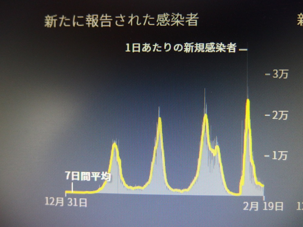 f:id:gotoshikari:20220221143310j:plain