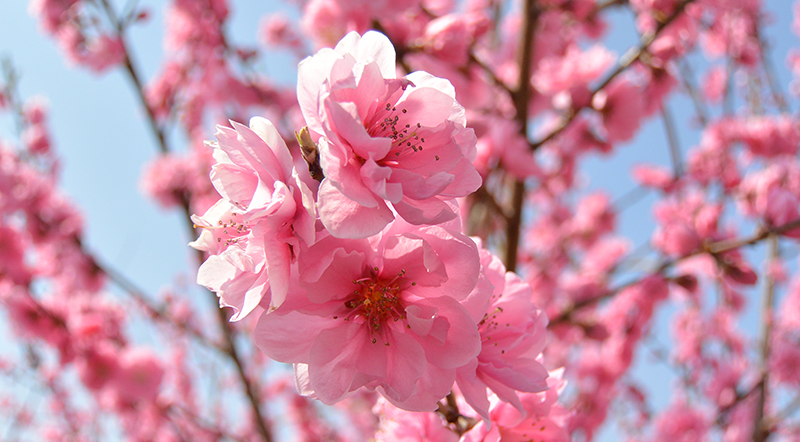 f:id:gotoshikari:20220302161559j:plain