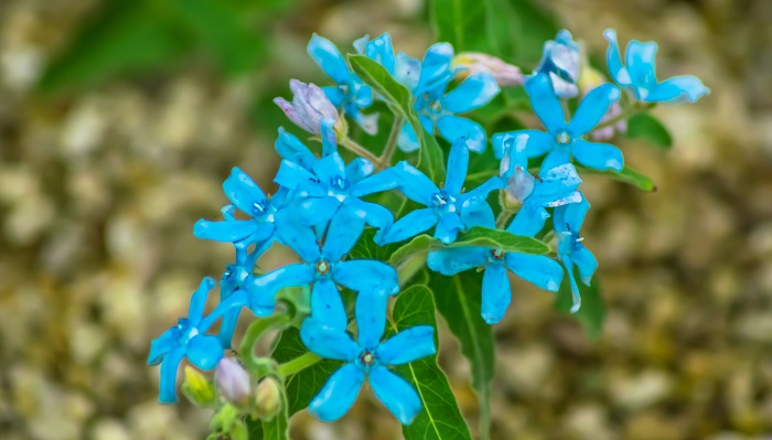 f:id:gotoshikari:20220307131919j:plain