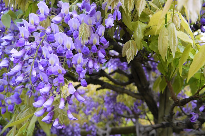 f:id:gotoshikari:20220404170246j:plain