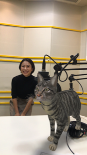f:id:gotoshin_terumi:20191024162208p:plain f:id:gotoshin_terumi:20191024162208p:plain