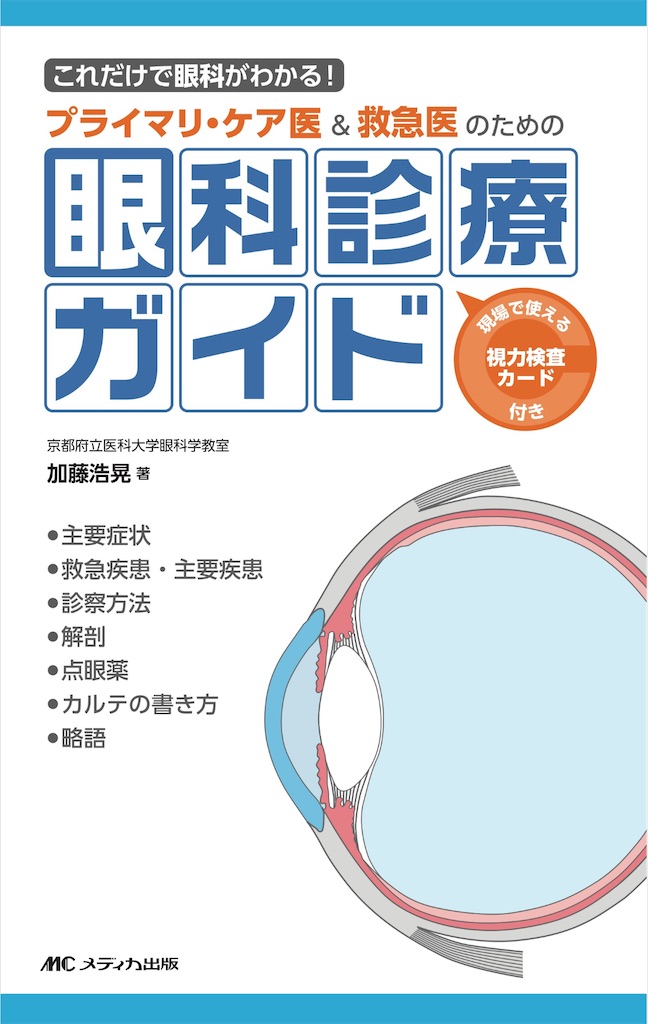 f:id:gotouchi-onepiece:20250428091814j:image
