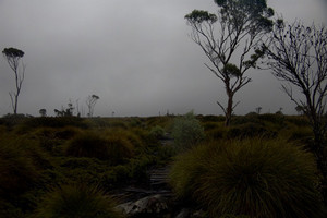 f:id:gotouma:20040309112459j:plain