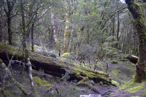 f:id:gotouma:20040309122737j:plain