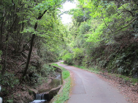 f:id:gotouma:20120504101506j:image