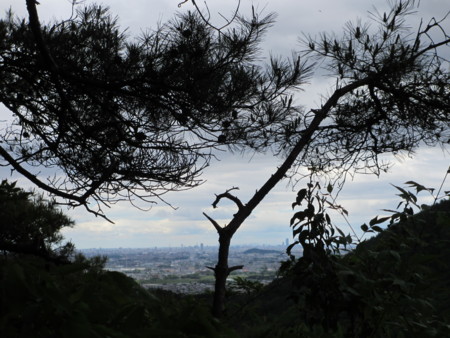 f:id:gotouma:20120504103144j:image