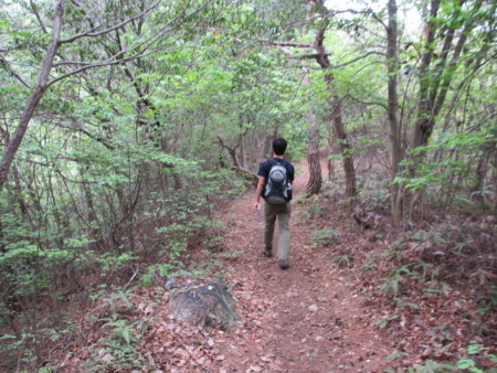 f:id:gotouma:20120504103813j:image