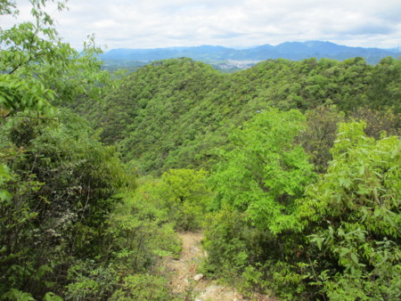 f:id:gotouma:20120504113731j:image