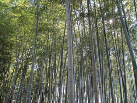 f:id:gotouma:20120610152051j:image f:id:gotouma:20120610152051j:image