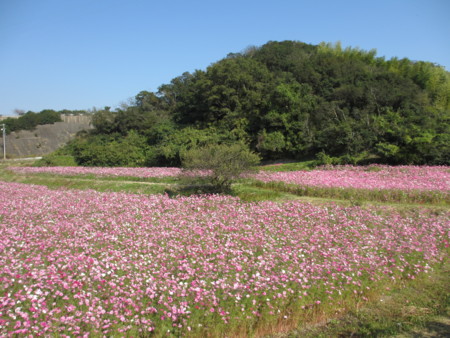 f:id:gotouma:20121021133547j:image f:id:gotouma:20121021133547j:image