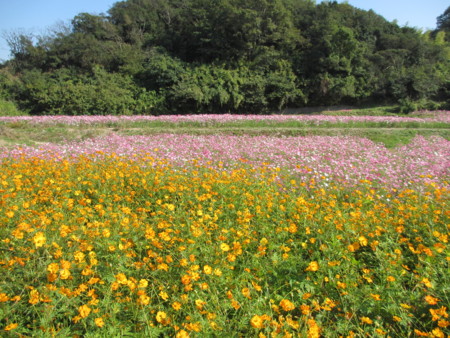 f:id:gotouma:20121021133658j:image f:id:gotouma:20121021133658j:image