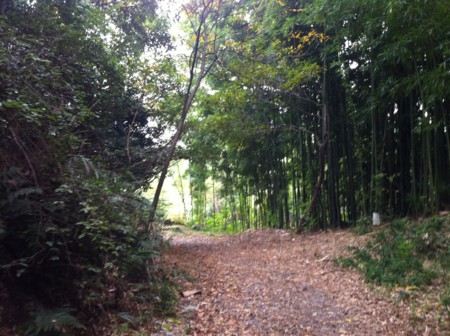 f:id:gotouma:20121027154722j:image