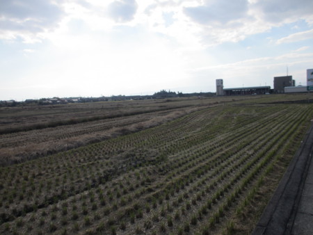 f:id:gotouma:20121103143005j:image