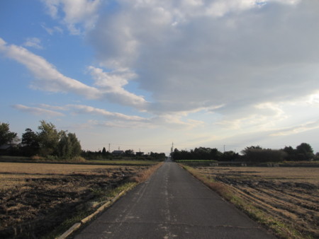 f:id:gotouma:20121103154653j:image