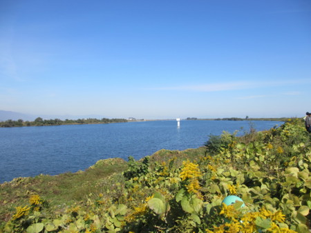 f:id:gotouma:20121104100144j:image