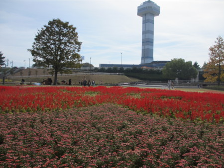 f:id:gotouma:20121104115410j:image