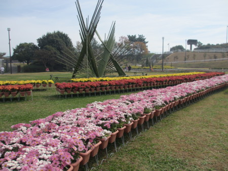 f:id:gotouma:20121104115440j:image