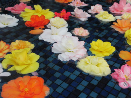 f:id:gotouma:20130428133518j:image f:id:gotouma:20130428133518j:image