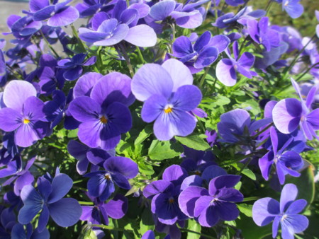 f:id:gotouma:20130428135342j:image f:id:gotouma:20130428135342j:image