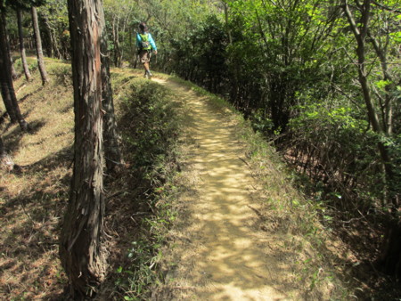 f:id:gotouma:20130503142050j:image