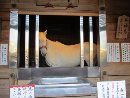 f:id:gotouma:20130503155925j:image