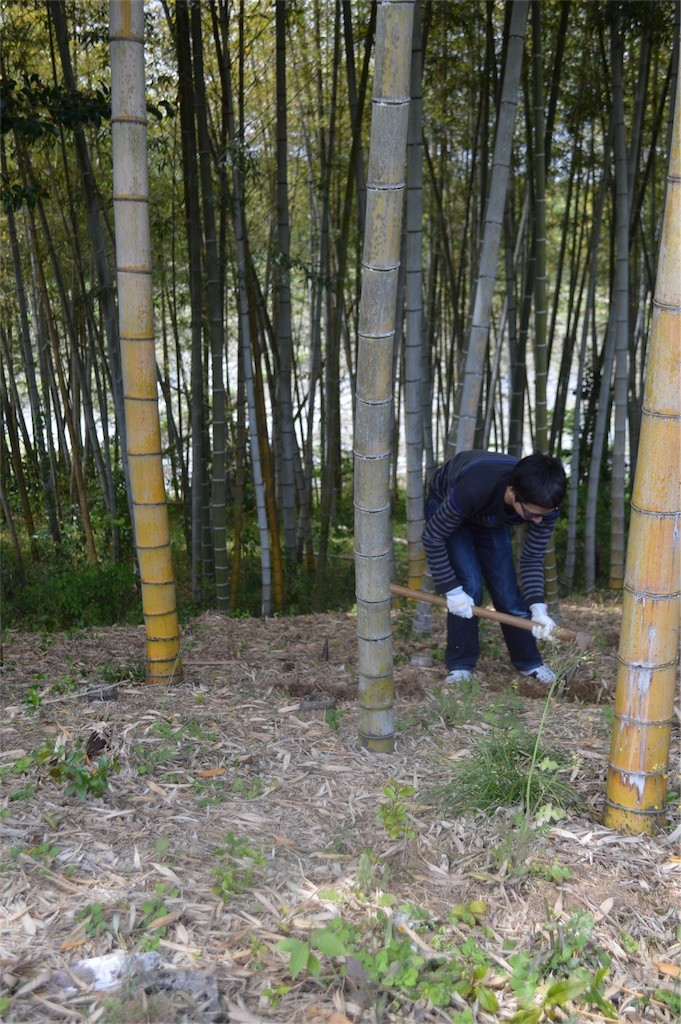 f:id:gotouma:20170509223046j:image