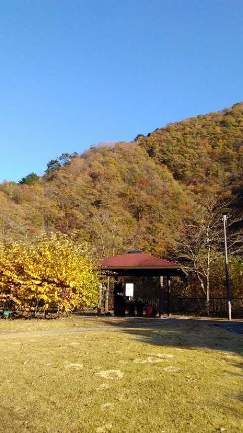 f:id:gotuteki:20171114073846j:plain f:id:gotuteki:20171114073846j:plain