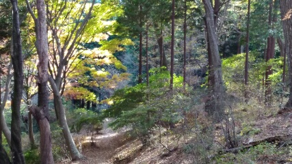 f:id:gotuteki:20171118103614j:plain