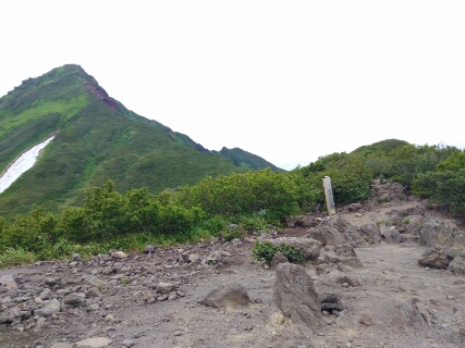 f:id:gotuteki:20180726080619j:plain