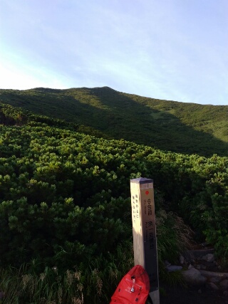 f:id:gotuteki:20180726081701j:plain
