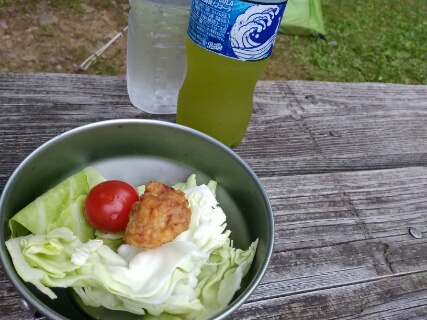 f:id:gotuteki:20180726191705j:plain