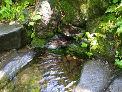 f:id:gotuteki:20180727044816j:plain