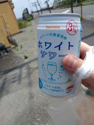 f:id:gotuteki:20180806190539j:plain