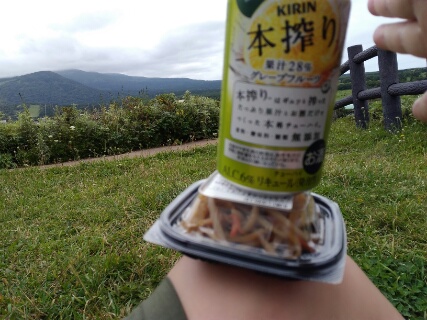 f:id:gotuteki:20180806191711j:plain
